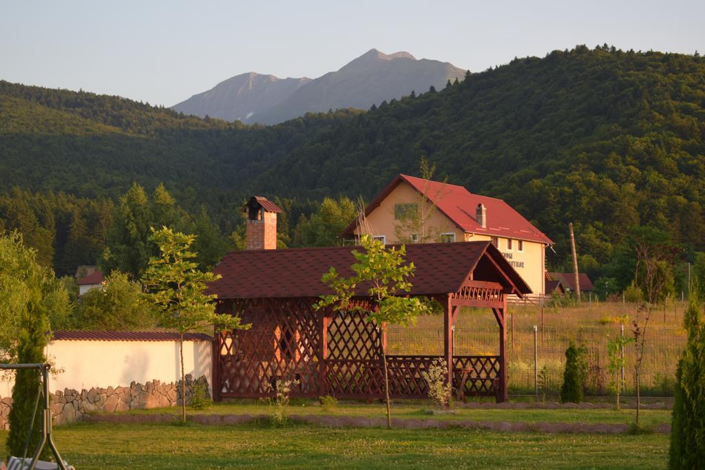 Pensiunea Mountain King Sîmbăta de Sus Exterior foto