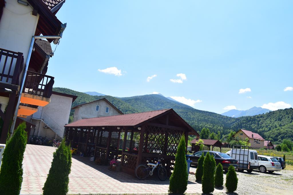 Pensiunea Mountain King Sîmbăta de Sus Exterior foto